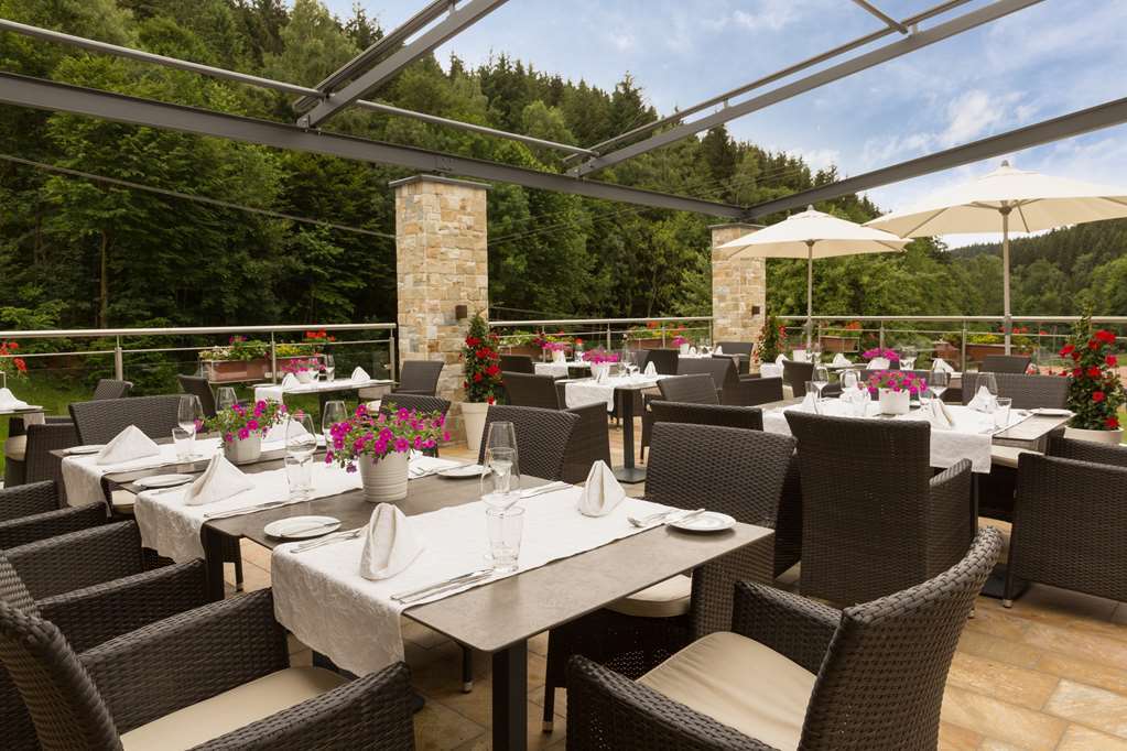 Hotel Naturparkhotel Adler Wolfach
