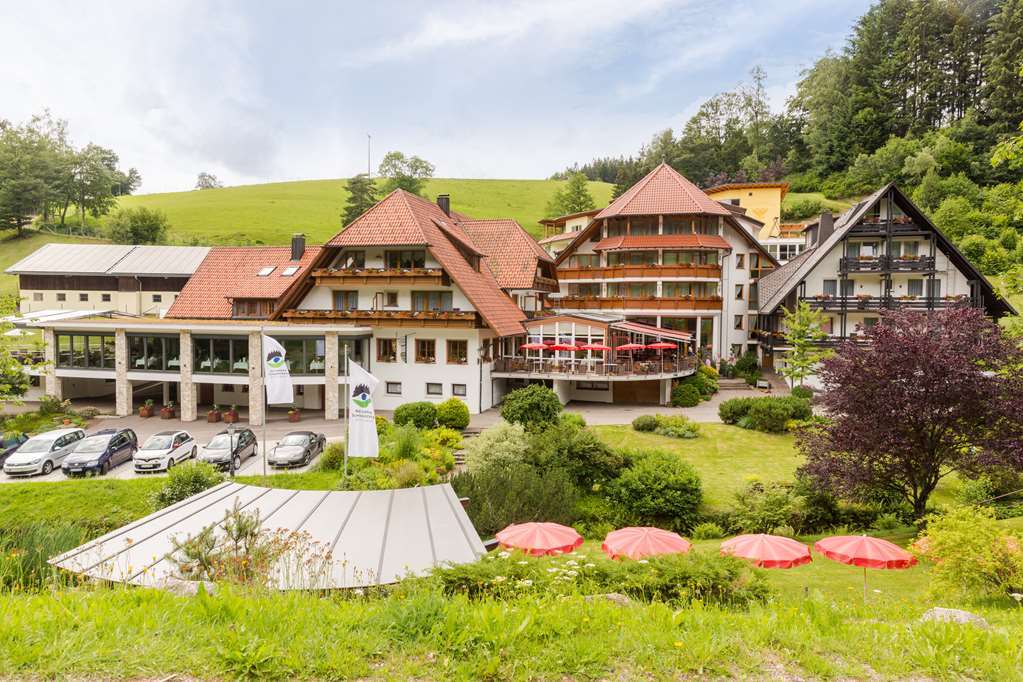 Naturparkhotel Adler Hotel Wolfach